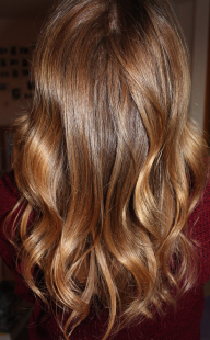 portfolio item image